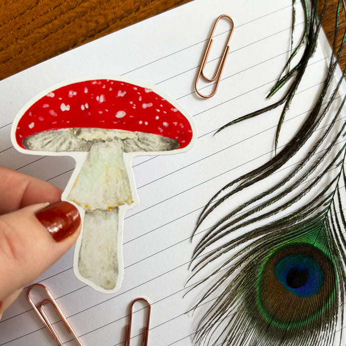 Fungi Fly Agaric Mushroom Sticker