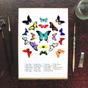 Lepidoptera Butterfly Art Print