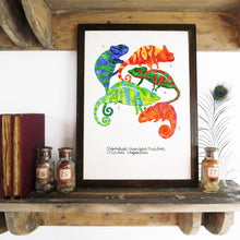 Load image into Gallery viewer, Camouflage of Chameleons Art Print