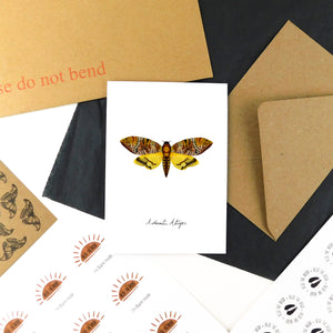 Lepidoptera Death's Head Hawkmoth Moth Greetings Card
