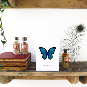 Lepidoptera Morpho Butterfly Greetings Card