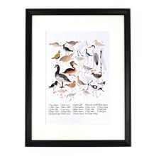 Load image into Gallery viewer, Aestes Wetland Birds Art Print