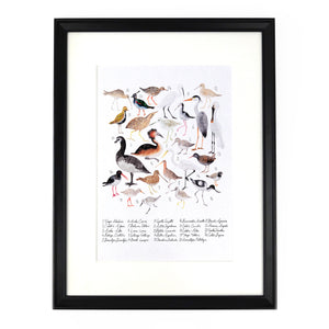 Aestes Wetland Birds Art Print