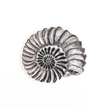 Load image into Gallery viewer, Ammonite Sticker