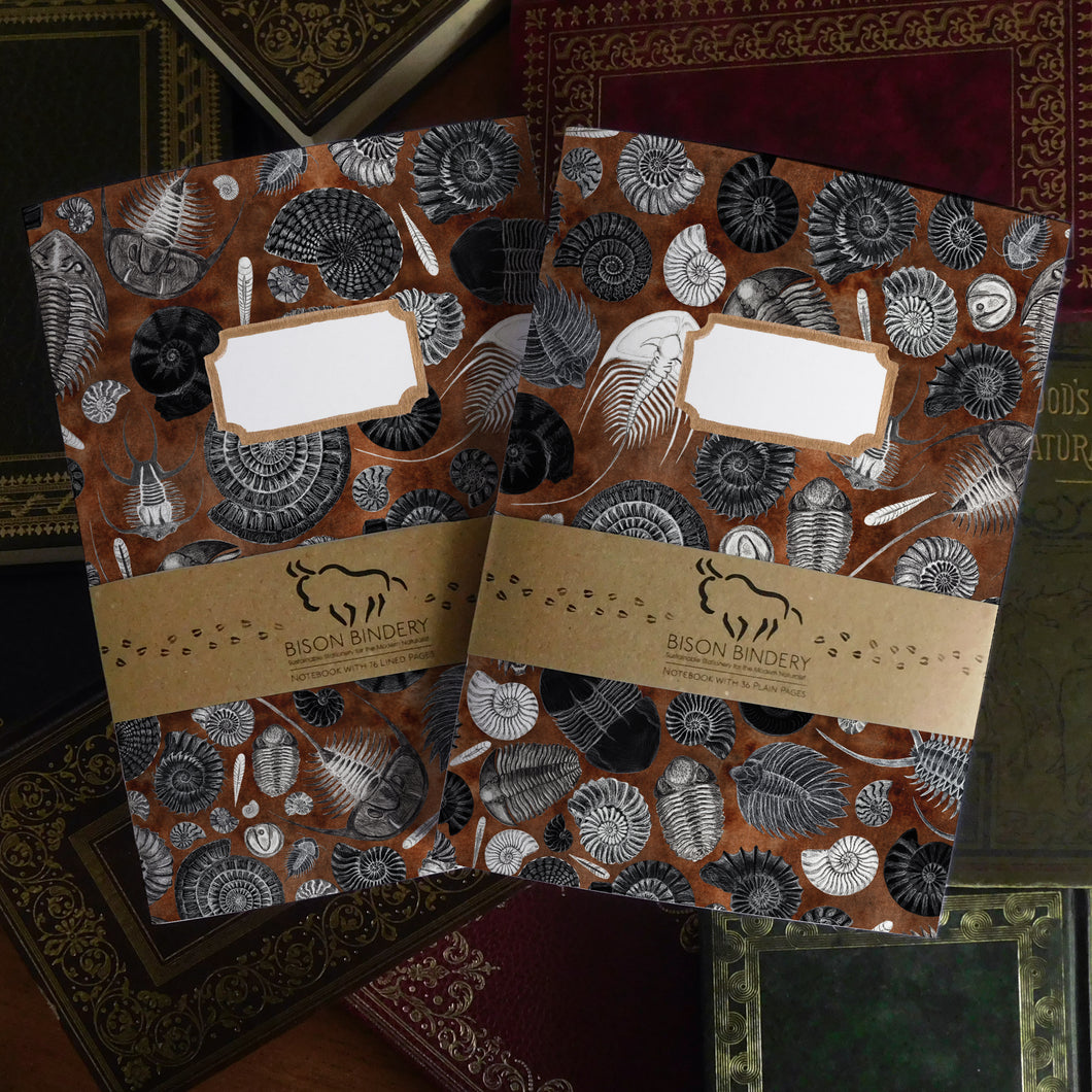 Ammonoidea Fossil Print Journal and Notebook Set