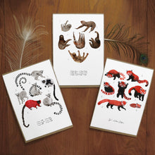 Load image into Gallery viewer, Arboreal Mammals Set of 3 Art Prints