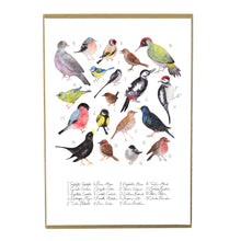 Load image into Gallery viewer, Aves British Garden Birds Art Print
