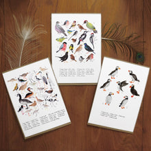 Load image into Gallery viewer, British Birds Set of 3 Art Prints