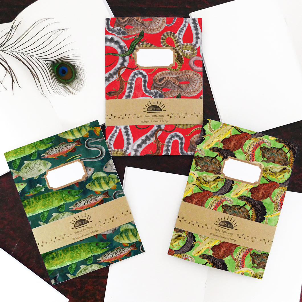 British Vertebrates Notebook Pack