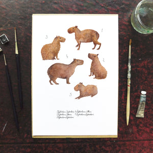 Chill of Capybaras Art Print