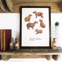 Load image into Gallery viewer, Chill of Capybaras Art Print