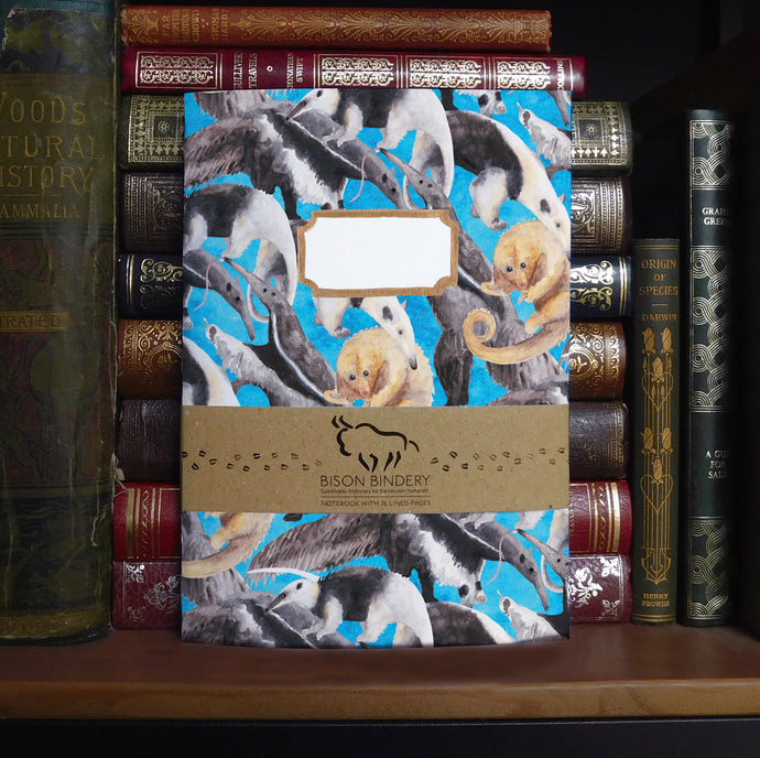 Colony of Anteaters Print Lined Journal