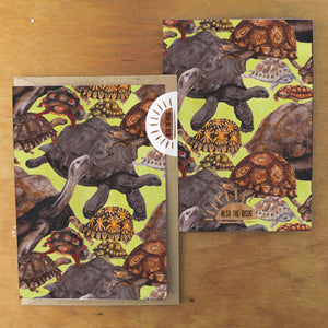 Creep of Tortoises Print Greetings Card