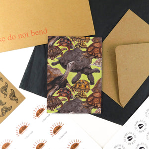 Creep of Tortoises Print Greetings Card