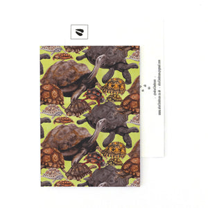 Creep of Tortoises Print Postcard