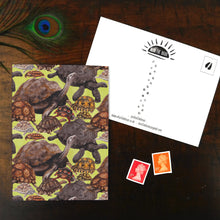 Load image into Gallery viewer, Creep of Tortoises Print Postcard