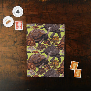 Creep of Tortoises Print Postcard