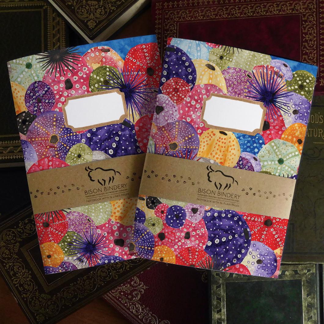 Echinozoa Sea Urchin Print Journal and Notebook Set