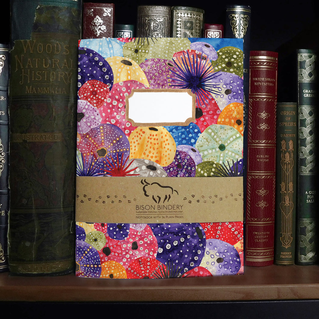 Echinozoa Urchin Print Notebook
