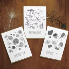 Load image into Gallery viewer, Fossils Set of 3 Art Prints