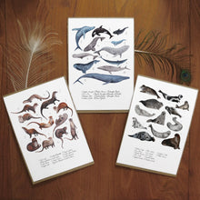 Load image into Gallery viewer, Marine Mammals Set of 3 Art Prints