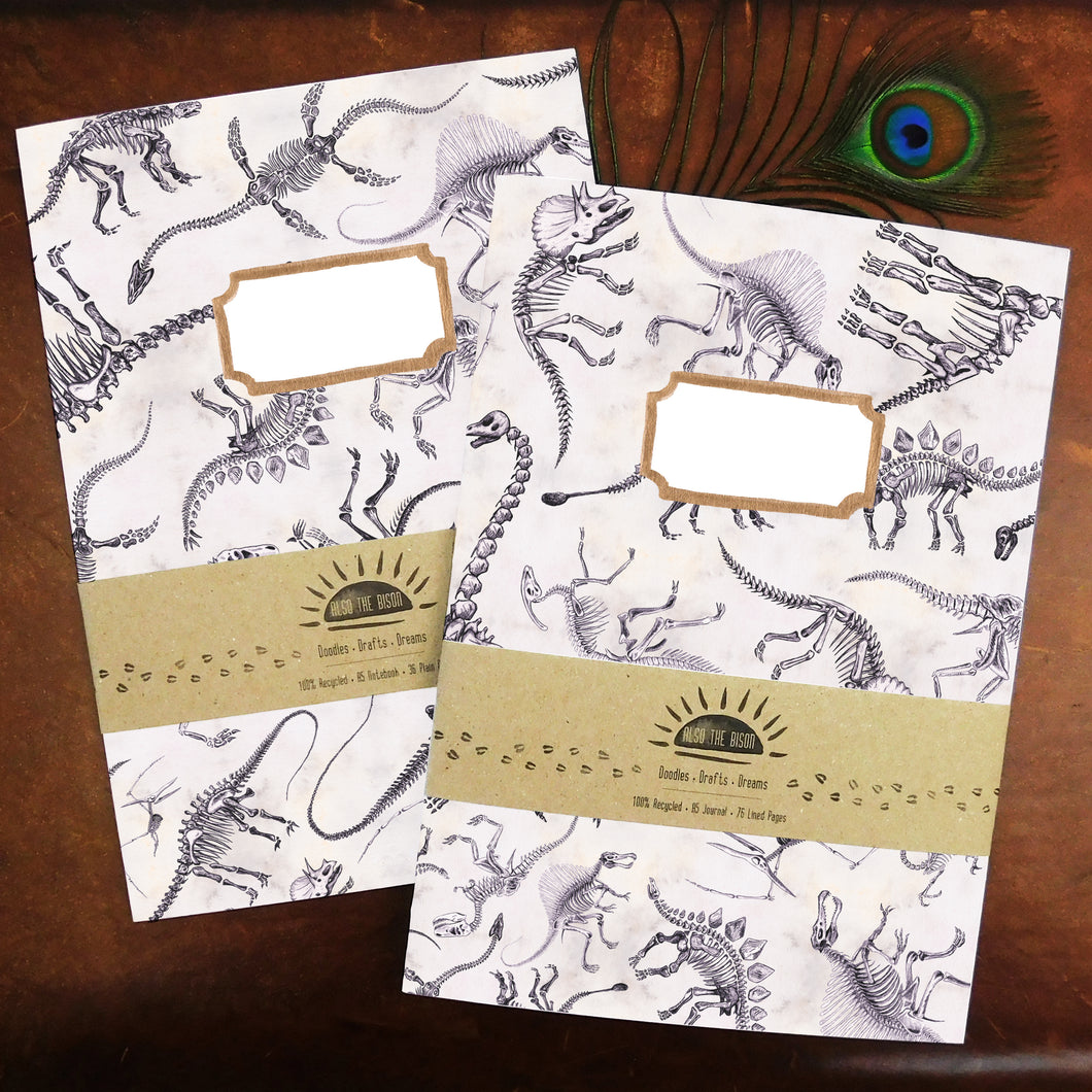 Mesozoic Dinosaur Print Journal and Notebook Set