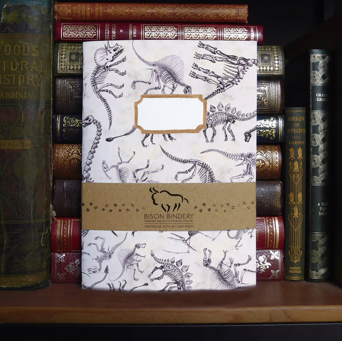 Mesozoic Dinosaur Print Lined Journal