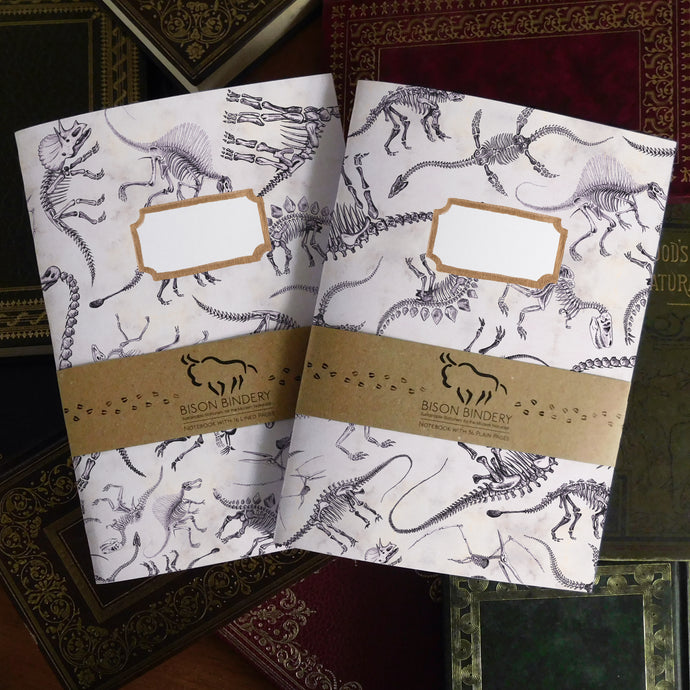 Mesozoic Dinosaur Print Journal and Notebook Set