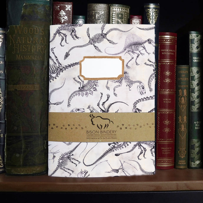 Mesozoic Dinosaur Print Notebook