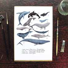 Load image into Gallery viewer, Pod of Whales Art Print