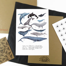 Load image into Gallery viewer, Pod of Whales Art Print