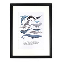 Load image into Gallery viewer, Pod of Whales Art Print