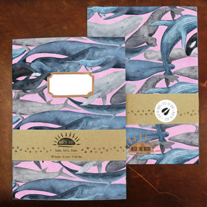 Marine Mammals Lined Journal Pack