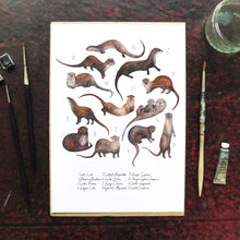 Load image into Gallery viewer, Raft of Otters Art Print