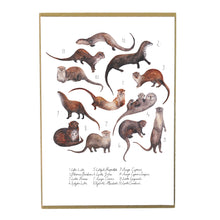 Load image into Gallery viewer, Raft of Otters Art Print