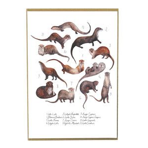 Raft of Otters Art Print