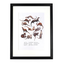 Load image into Gallery viewer, Raft of Otters Art Print