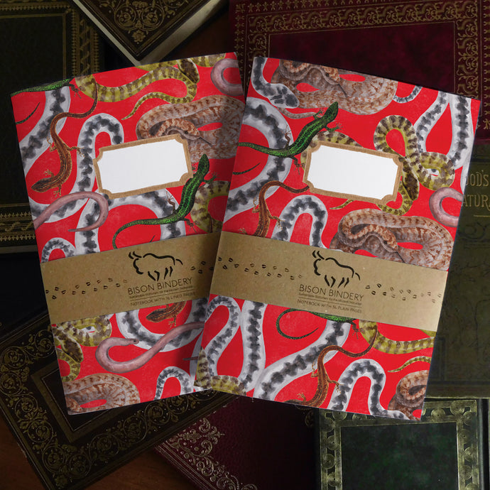 Reptilia British Reptiles Print Journal and Notebook Set