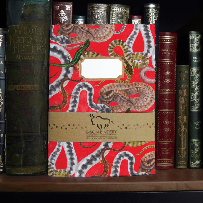 Reptilia British Reptiles  Print Notebook