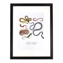 Load image into Gallery viewer, Reptilia British Reptiles Art Print