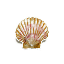 Load image into Gallery viewer, Conchae Scallop Shell Sticker