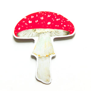 Fungi Fly Agaric Mushroom Sticker
