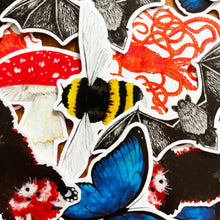Load image into Gallery viewer, Lepidoptera Blue Morpho Butterfly Sticker