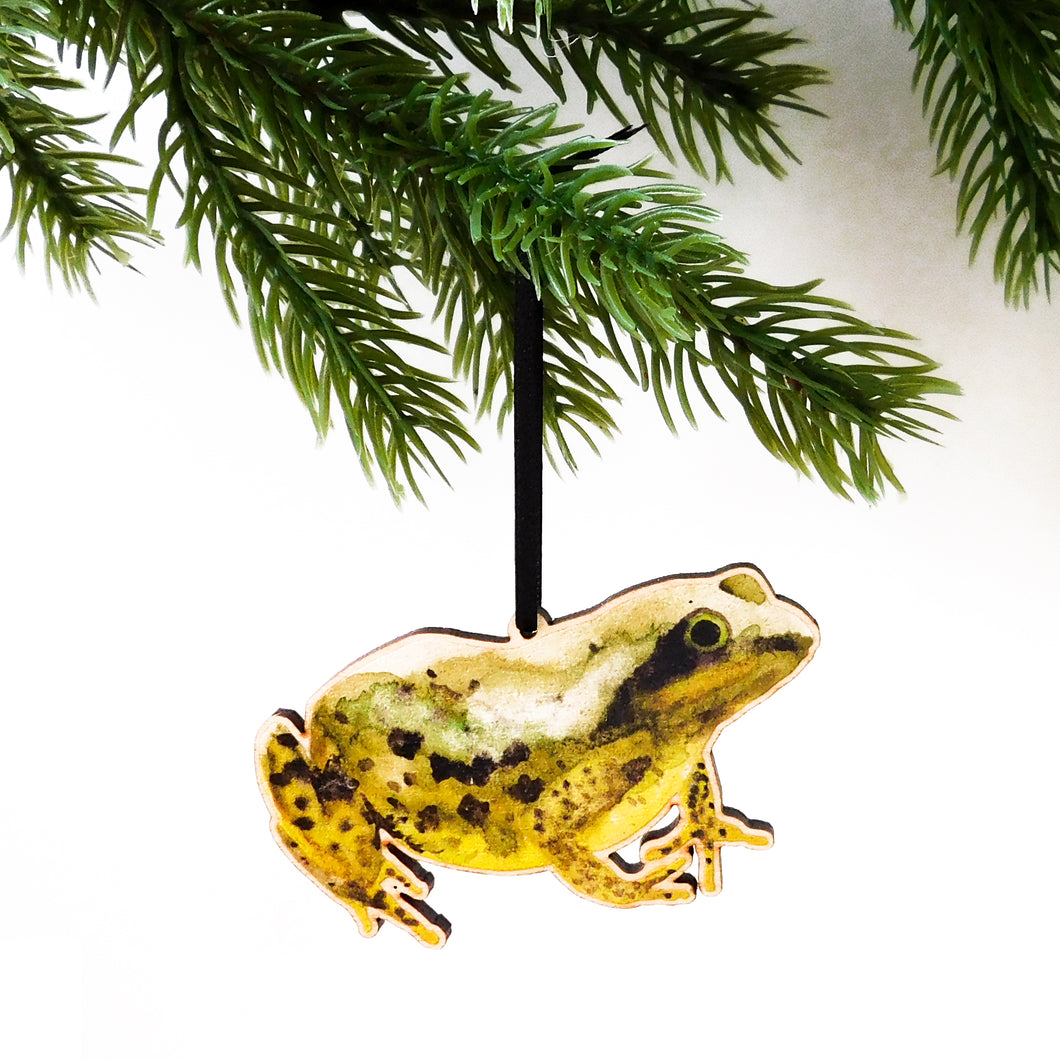 Amphibia Frog Wooden Hanging Decoration