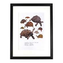 Load image into Gallery viewer, Creep of Tortoises Art Print