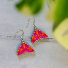 Load image into Gallery viewer, Lepidoptera Rosy Maple Moth Earrings