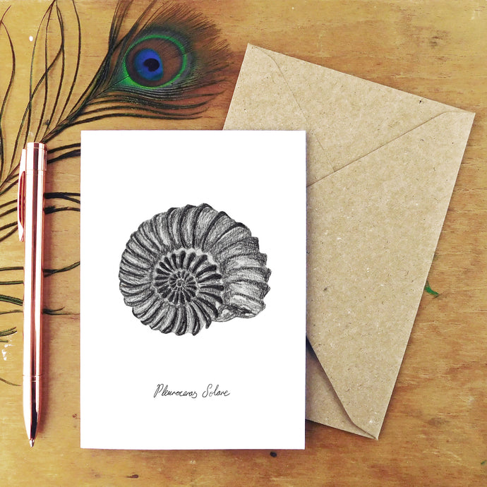 Ammonite Greetings Card