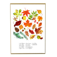 Load image into Gallery viewer, Autumna Fallen Leaves Art Print