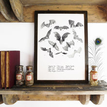 Load image into Gallery viewer, Chiroptera Bat Art Print