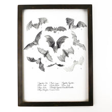 Load image into Gallery viewer, Chiroptera Bat Art Print